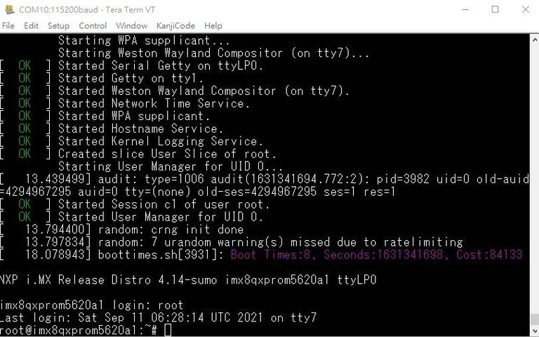 ROM-5620BootupMessage