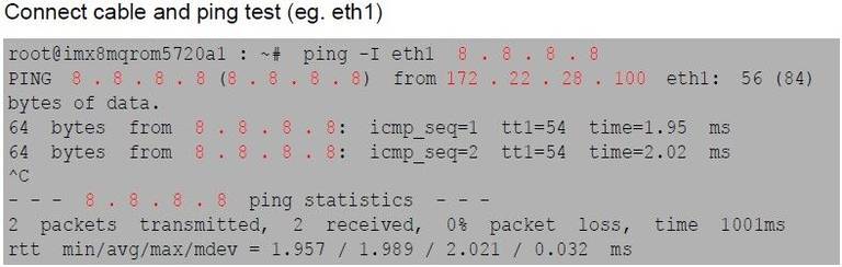 Ping test