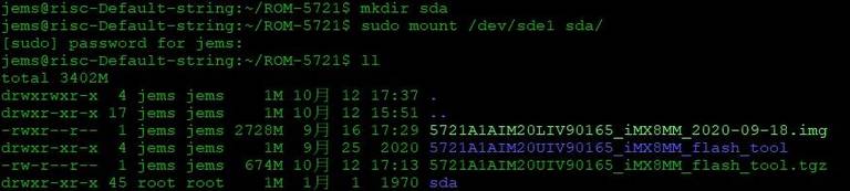 Mount USB disk