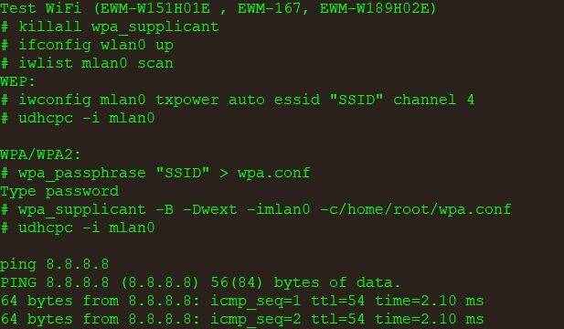 Ping test