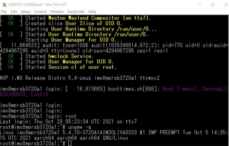 Debug message on boot