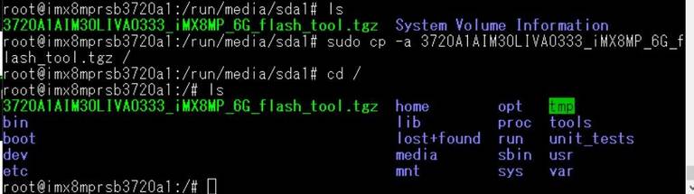 Copy root check