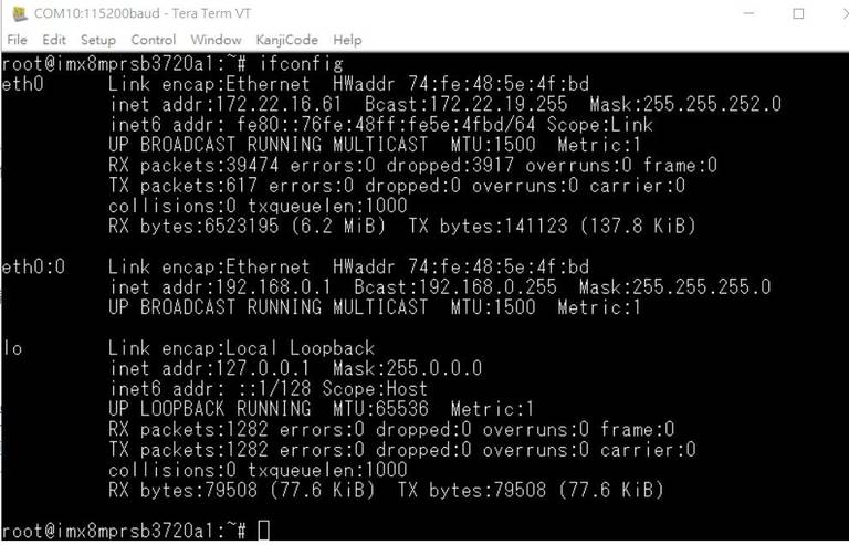 ifconfig IP address