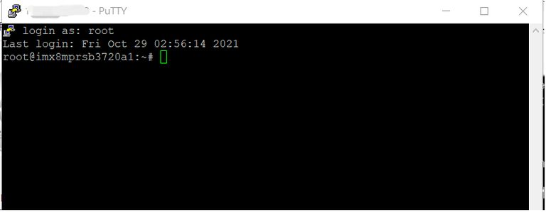 SSH console